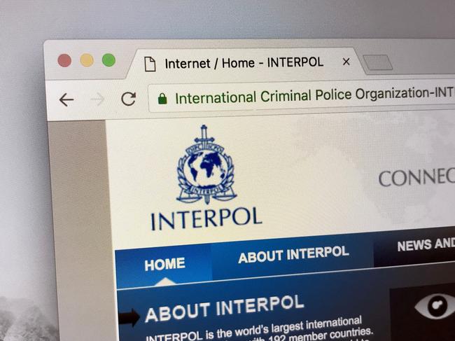 HOW TO REPORT A SCAM TO INTERPOL – Do It Immediately